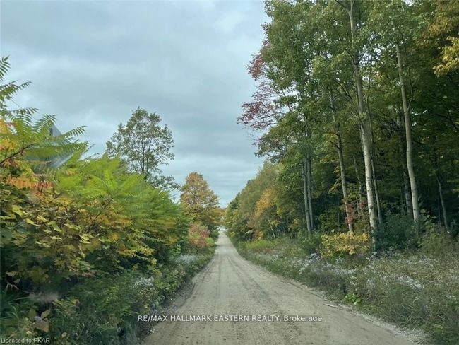 1300 David Fife Line, House other with 5 bedrooms, 3 bathrooms and 5 parking in Keene ON | Image 14