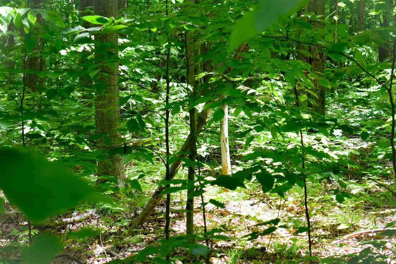 Land in Boyne City 4