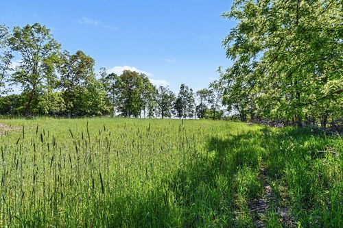 0 E Charles Road, Ionia, MI, 48846 | Card Image