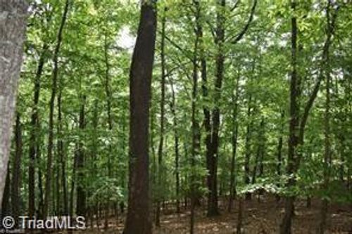 4 Greenstreet Drive, Traphill, NC, 28685 | Card Image