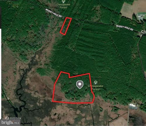 0 Muddy Hole Rd, TYASKIN, MD, 21865 | Card Image