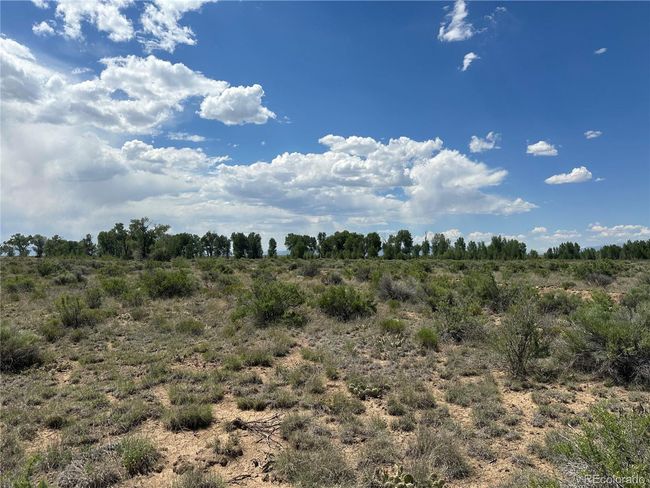 1252 Elk Trl, Home with 0 bedrooms, 0 bathrooms and null parking in Crestone CO | Image 16