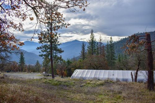 1379 Humbug Creek Rd, Jacksonville, OR, 97530-9524 | Card Image