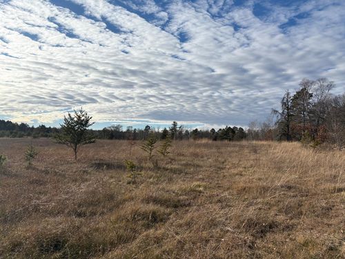 7839 Birchmont Beach Rd Ne, Turtle River, MN, 56601-7606 | Card Image