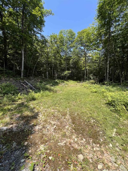 TBD Warren Mountain Rd, Roxbury, VT, 05669 | Card Image