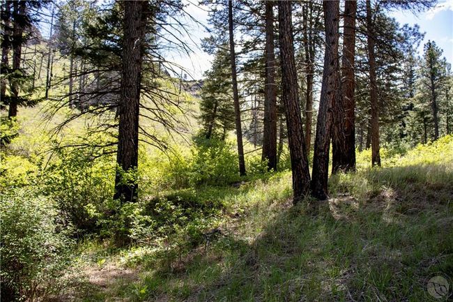 0 Novak Creek Ln, Home with 0 bedrooms, 0 bathrooms and null parking in Cascade MT | Image 23
