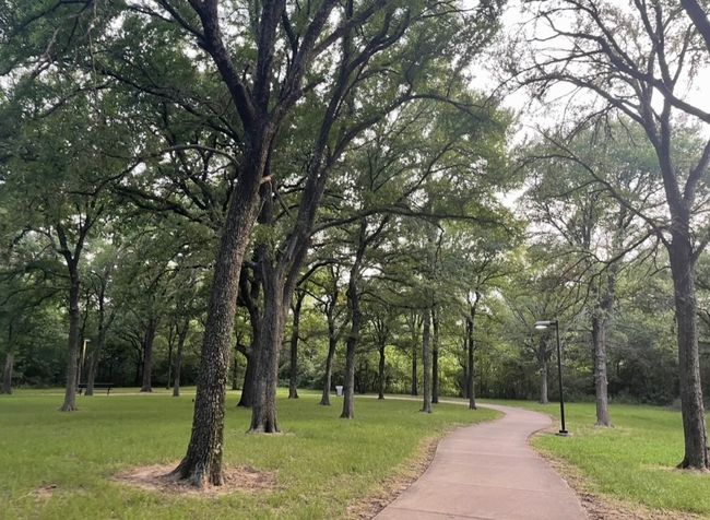 Walking trails just down the street! | Image 33