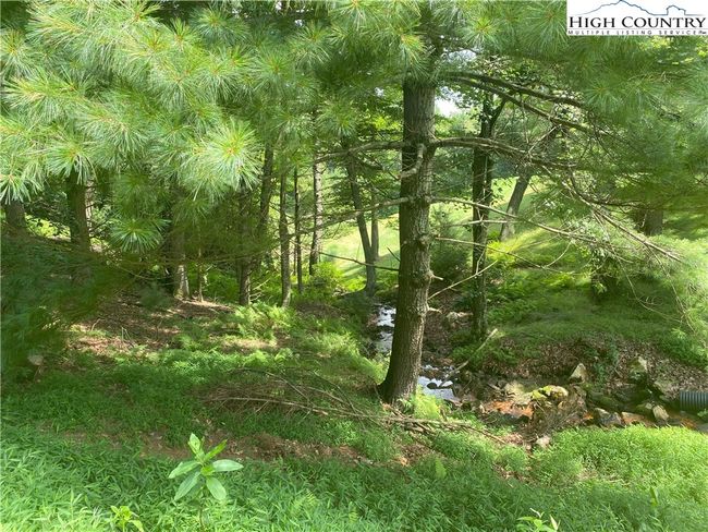 142 - TBD Sunningdale Court, Home with 0 bedrooms, 0 bathrooms and null parking in Roaring Gap NC | Image 5