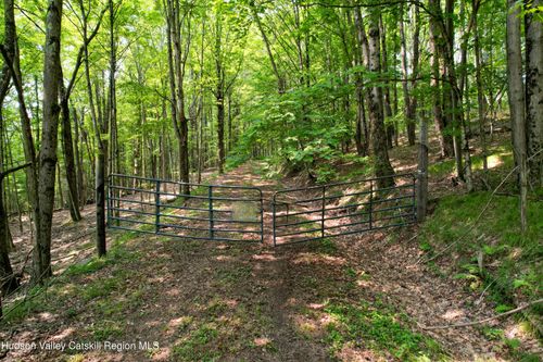 0 Paradise Camp Road, Fleischmanns, NY, 12430 | Card Image