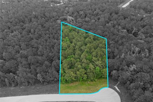 21 Diamond Lane, Huntsville, TX, 77340 | Card Image