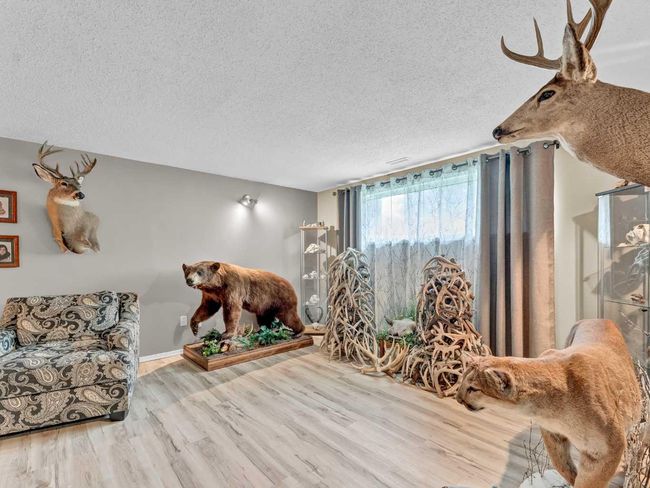 52 Cypress Way Se, House other with 5 bedrooms, 2 bathrooms and 4 parking in Medicine Hat AB | Image 16