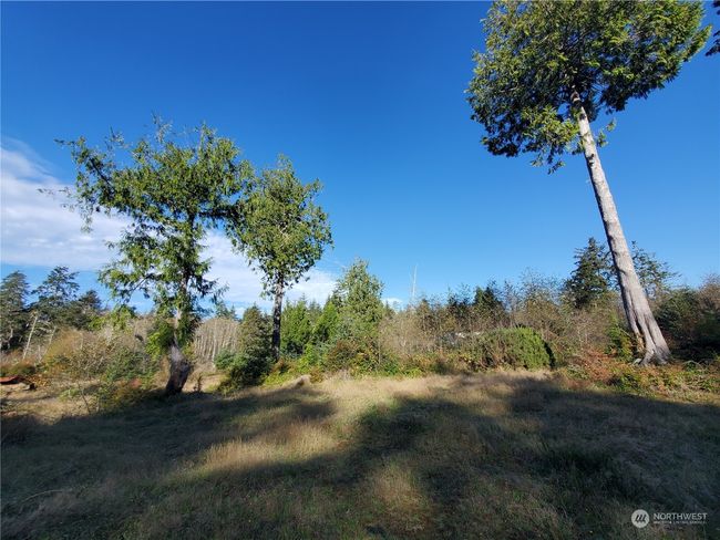 36602 Stackpole Rd, Home with 0 bedrooms, 0 bathrooms and null parking in Oysterville WA | Image 17