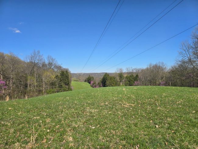 8266 State Highway 262, Home with 0 bedrooms, 0 bathrooms and null parking in Dillsboro IN | Image 10