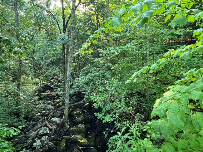 The property ends at this brook, just before the bridge | Image 16