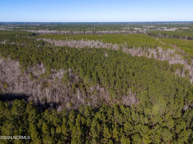 00 Sykes Town Rd, Home with 0 bedrooms, 0 bathrooms and null parking in Currie NC | Image 39