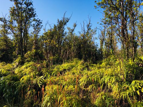 11-2785 Ala Kapena, VOLCANO, HI, 96785 | Card Image