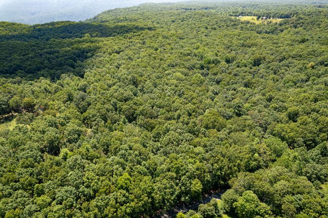 0 Stage Coach Rd, Home with 0 bedrooms, 0 bathrooms and null parking in Sewanee TN | Image 14
