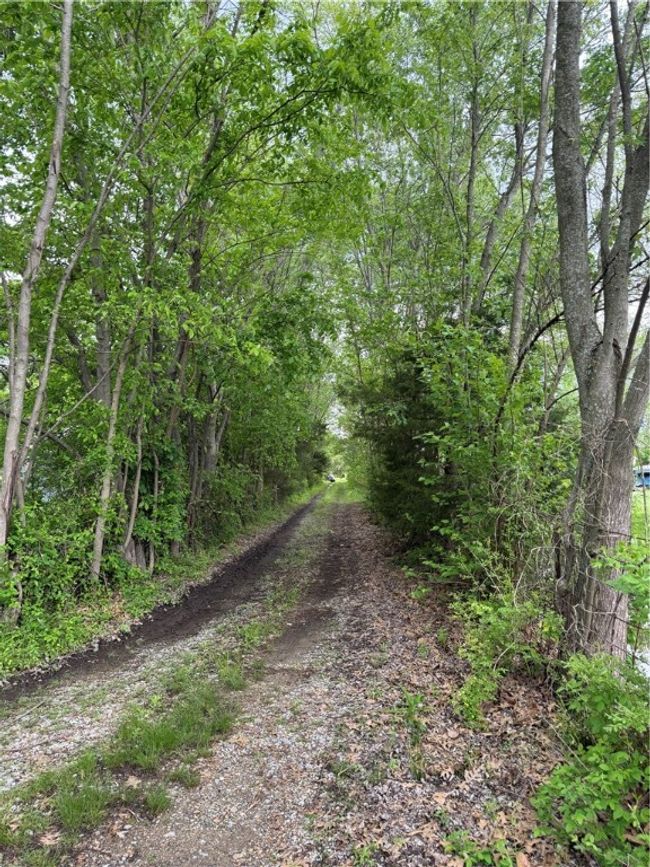 Driveway to Secluded Lot | Image 34