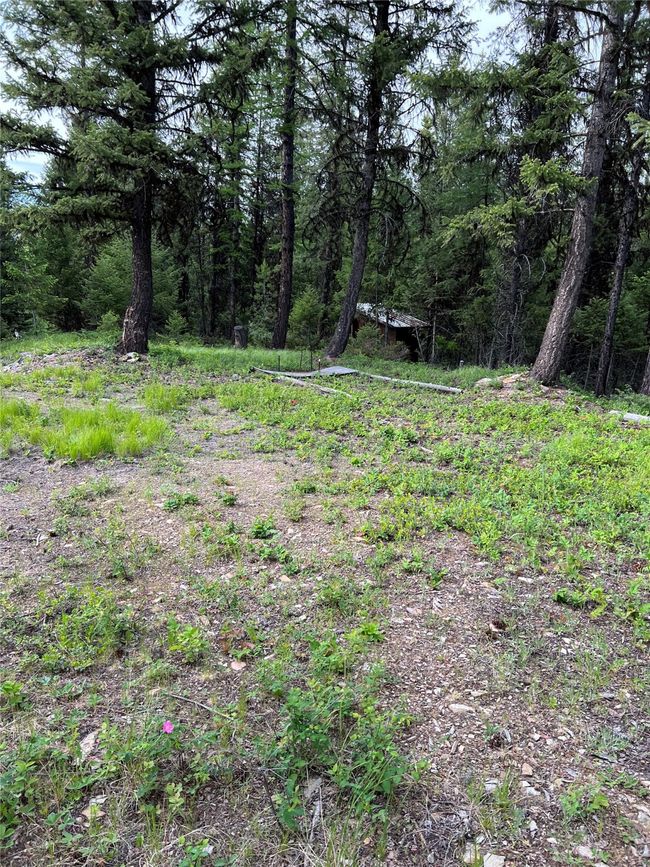 walkway to outhouse | Image 79