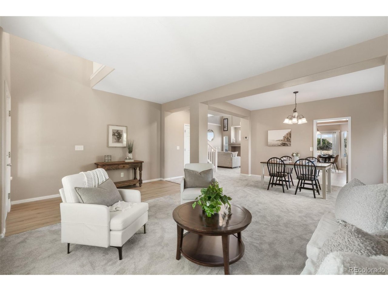 Residential in Castle Rock 4