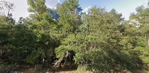 262 Cypress St, Interlachen, FL, 32148-2689 | Card Image