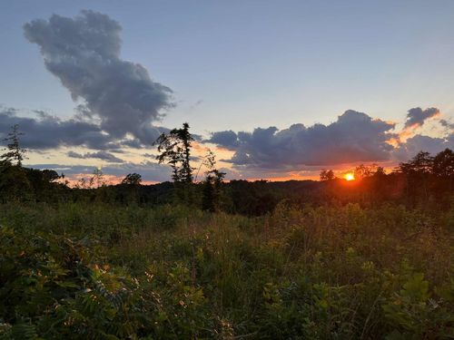 0 S Highway 3, Louisa, KY, 41230 | Card Image