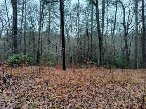 Lot 39 Kells Ridge Dr, East Ellijay, GA, 30540-2239 | Card Image
