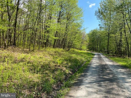 TBD Betts Lane, Oakland, MD, 21550 | Card Image