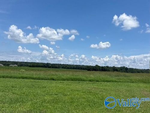 23.75 ACRES Toney Rd, Toney, AL, 35773-8569 | Card Image
