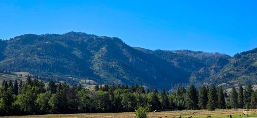3496 Ward Rd, Cambridge, ID, 83610-5114 | Card Image
