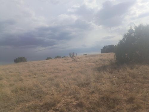 Lot 46 Cassandra Ct, Moriarty, NM, 87035-5217 | Card Image