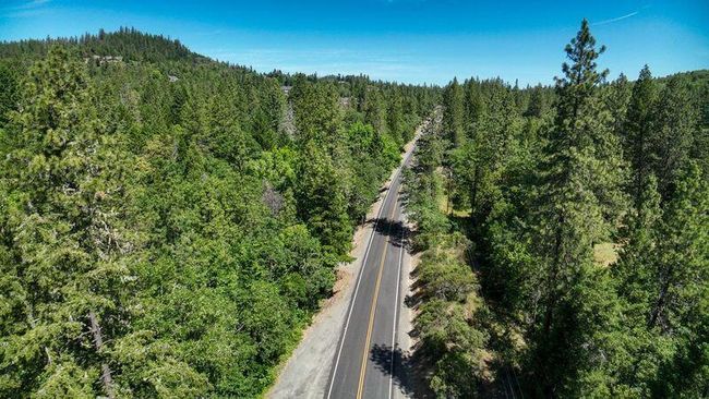 11 Lower River | Image 11