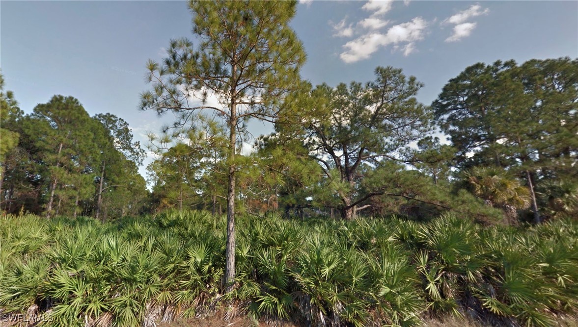 Land in Lehigh Acres