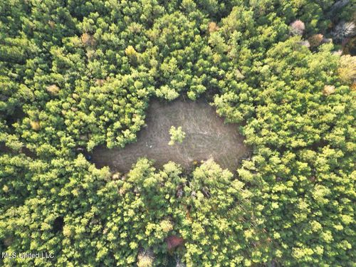 1 N Will Floyd Road, Crosby, MS, 39633 | Card Image