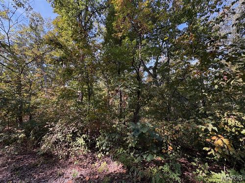95 Deer Run Trl, New Florence, MO, 63363-3519 | Card Image