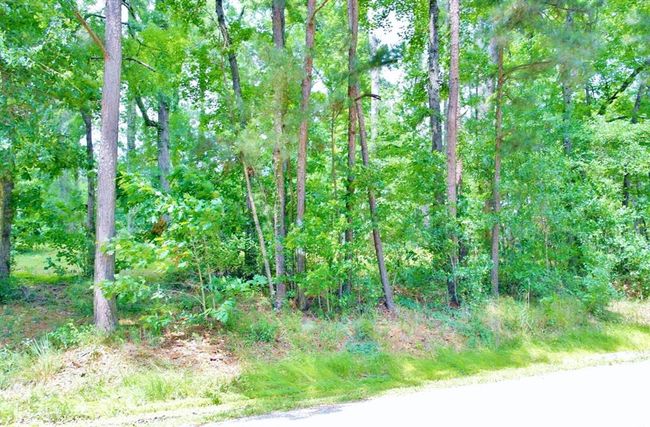 Right view of property. | Image 13