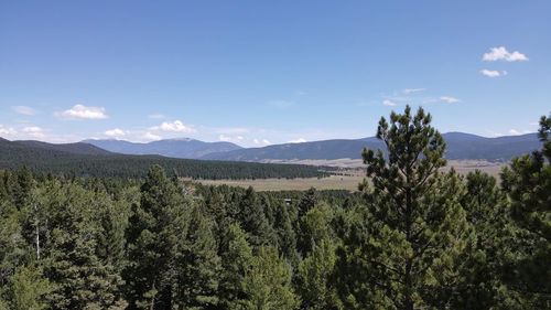 Lot 22 Taos Pines Ranch Rd, Angel Fire, NM, 87710 | Card Image
