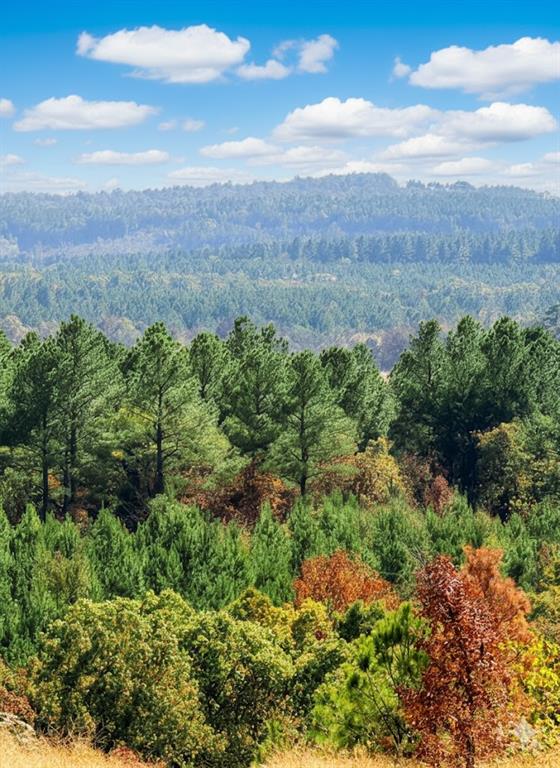Land in Broken Bow