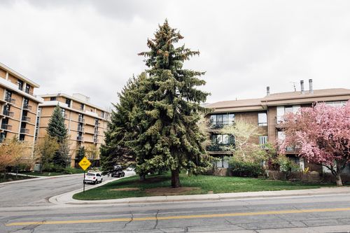 apt-101-939 S Donner Way, Salt Lake City, UT, 84108-2146 | Card Image