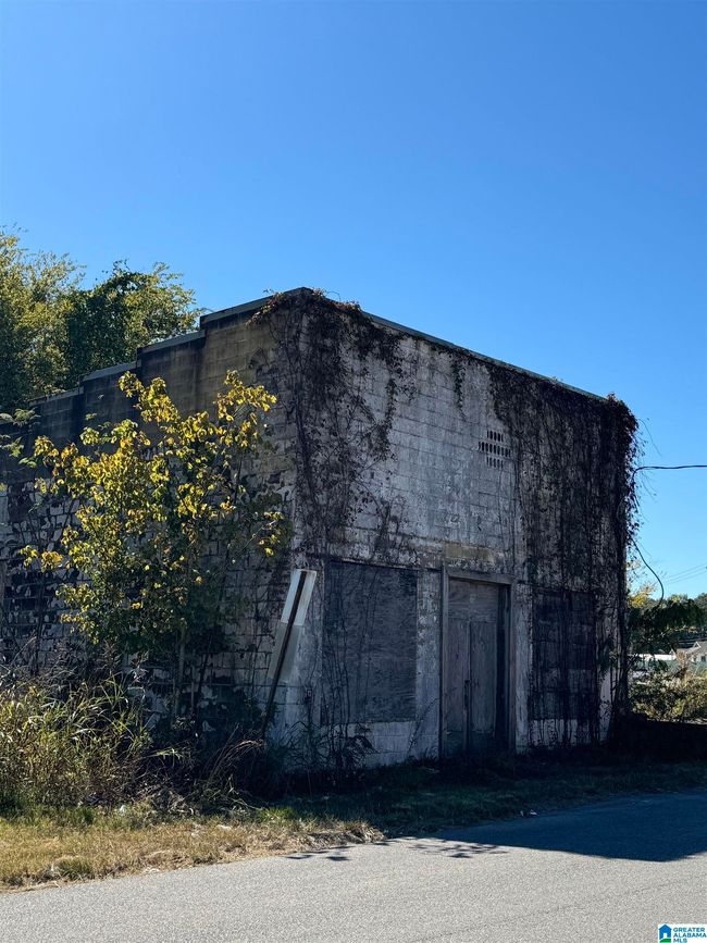 1 - 00 Main St, Home with 0 bedrooms, 0 bathrooms and null parking in Brent AL | Image 6