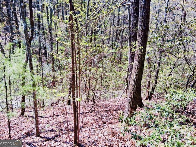 751752 - LOT 751 Morton Dr, Home with 0 bedrooms, 0 bathrooms and null parking in Ellijay GA | Image 4