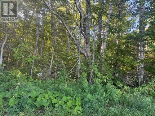 2832 Rte 14, O'leary, PE, C0B1V0 | Card Image