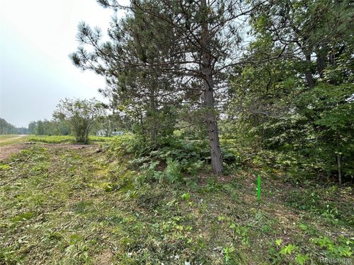 6658 Brookfield Ct, Elmira, MI, 49730 | Card Image