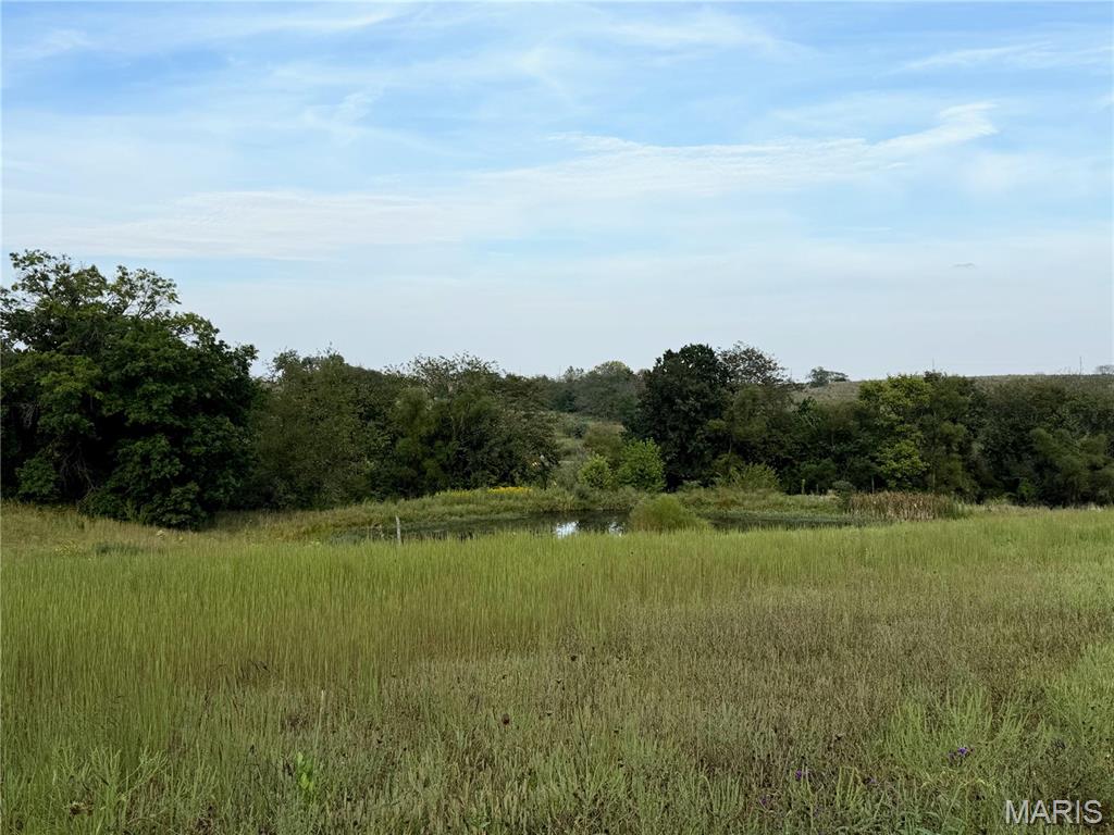 Residential in Brookfield 3