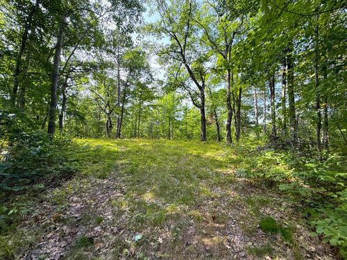 W9XXX Webb Lake Drive, Trego, WI, 54888 | Card Image