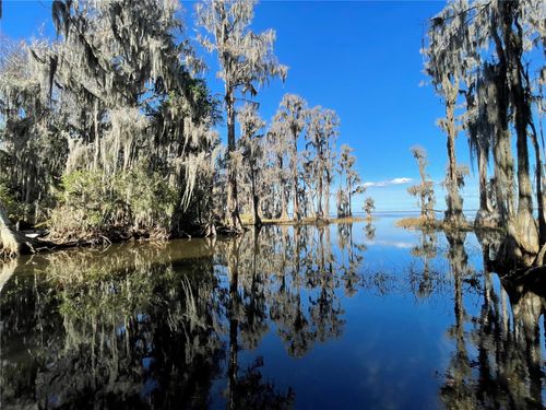 24510 Ne State Road 26, Melrose, FL, 32666-6102 | Card Image