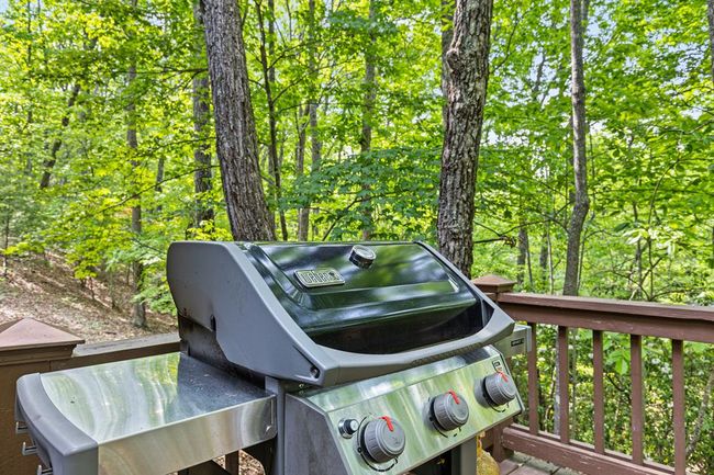 726 Cherry Log St, Home with 2 bedrooms, 1 bathrooms and null parking in Cherry Log GA | Image 30