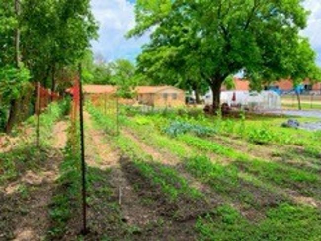 507 S 6 Th St, House other with 3 bedrooms, 2 bathrooms and null parking in Midlothian TX | Image 38