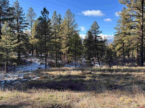 520 Hilltop Dr, Pagosa Springs, CO, 81147-9645 | Card Image