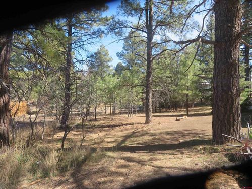 30 Knollwood Ct, Pagosa Springs, CO, 81147-9113 | Card Image